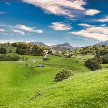 La Ayalguina, Selnatur *